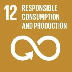 ODS 12: Producción y consumo responsables